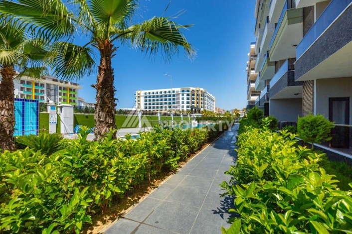 Просторные апартаменты 1+1 в элитном районе Каргыджак - Ракурс 2