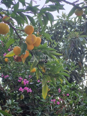 Квартира 2+1 с большими балконами и приятным видом, 120 кв.м. Тосмур, Алания. - Ракурс 9