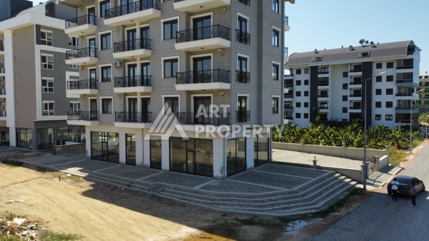 Квартиры 1+1 и дуплексы 3+1 по выгодной цене в Каргыджаке - Ракурс 2