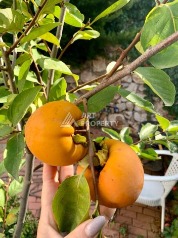 Вилла 3+1 с видом на море, 250 кв.м. в районе Бекташ - Ракурс 5