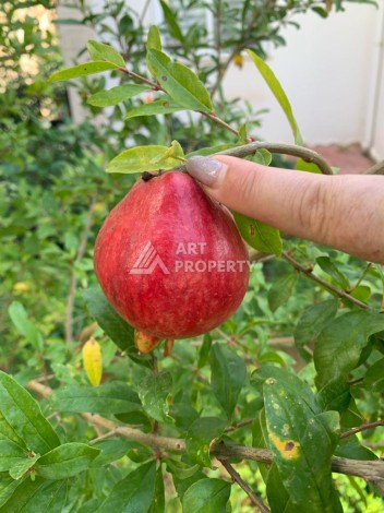 Вилла 3+1 с видом на море, 250 кв.м. в районе Бекташ - Ракурс 6