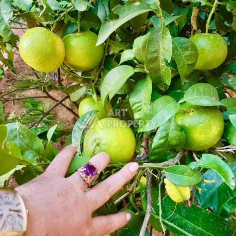 Вилла 3+1 с видом на море, 250 кв.м. в районе Бекташ - Ракурс 8