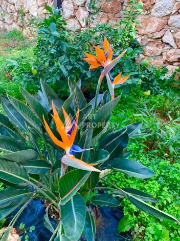 Вилла 3+1 с видом на море, 250 кв.м. в районе Бекташ - Ракурс 10