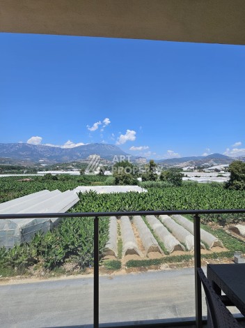 Аренда 1+1 в тихом районе Каргыджак! - Ракурс 17