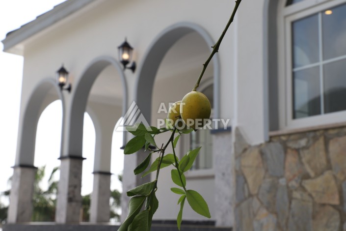 Роскошная вилла 4+1 с участком 525 кв.м. и бассейном. Тепе, Алания - Ракурс 7