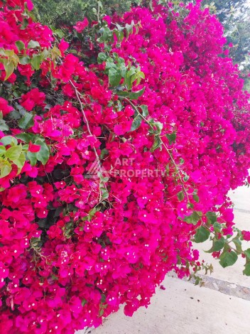 Пентхаус 2+1 в районе Тюрклер — всего 300 м до моря - Ракурс 12