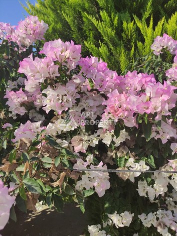 Таунхаус 2+1 под ВНЖ Тюрклере, 400 м от моря. - Ракурс 6