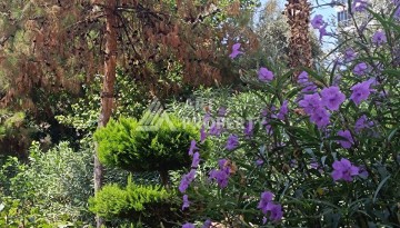 Просторная квартира 2+1 с мебелью и техникой в Махмутларе, 120 кв.м. - Ракурс 64