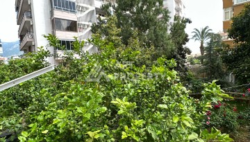 Бюджетная квартира 2+1 в районе Тосмур, всего 300 метров от моря - Ракурс 24