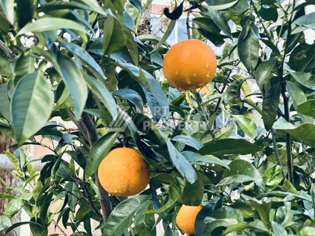 Меблированная квартира 1+1 в 300 м от моря. Махмутлар, Алания - Ракурс 14