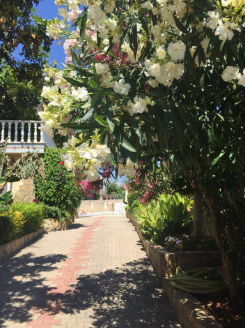 Трехэтажная вилла 5+1 в 100 метрах от моря в Кестель, 240 м2 - Ракурс 39