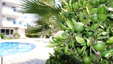 Квартира 1+1 с видом на море в Махмутларе, 70 кв.м. - Ракурс 19