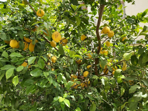 Вилла 3+1 с ремонтом в районе Демирташ, 150 м2 - Ракурс 2