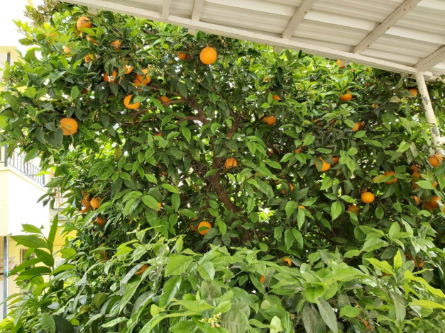 Вилла 3+1 с ремонтом в районе Демирташ, 150 м2 - Ракурс 7