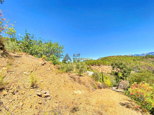 Участок земли для инвестиций в районе Чамлыджа города Аланья, 5293 м2 - Ракурс 2