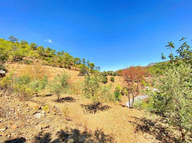 Участок земли для инвестиций в районе Чамлыджа города Аланья, 5293 м2 - Ракурс 3