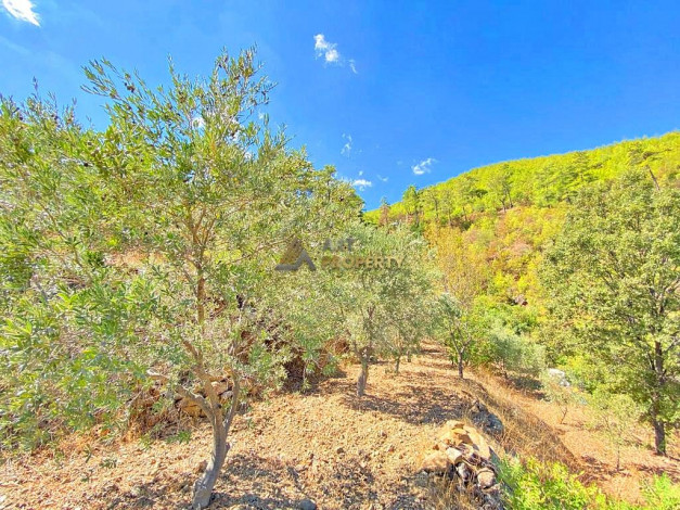 Участок земли для инвестиций в районе Чамлыджа города Аланья, 5293 м2 - Ракурс 5