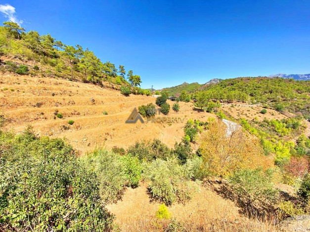 Участок земли для инвестиций в районе Чамлыджа города Аланья, 5293 м2 - Ракурс 6