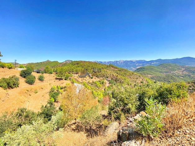 Участок земли для инвестиций в районе Чамлыджа города Аланья, 5293 м2 - Ракурс 7