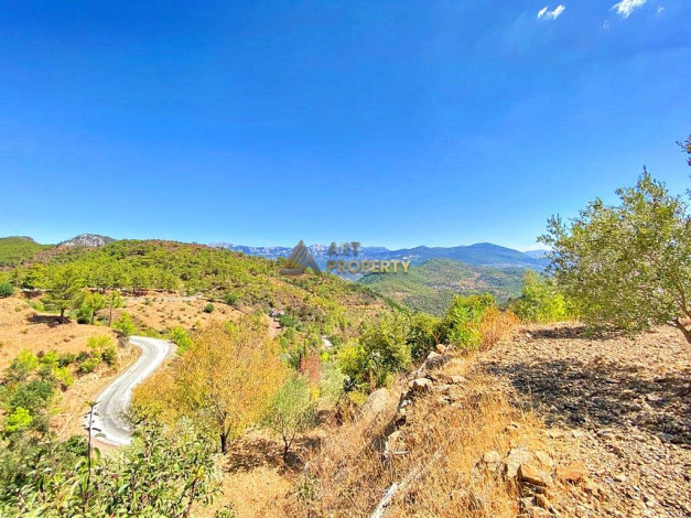 Участок земли для инвестиций в районе Чамлыджа города Аланья, 5293 м2 - Ракурс 8