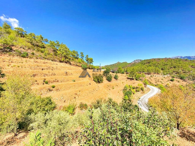 Участок земли для инвестиций в районе Чамлыджа города Аланья, 5293 м2 - Ракурс 9