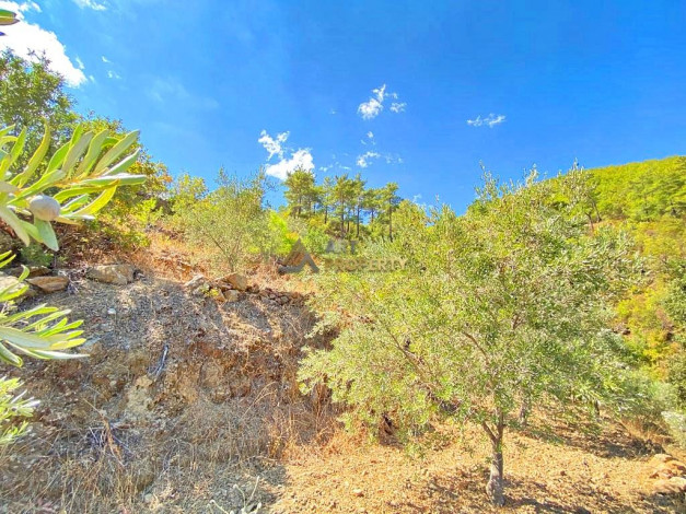 Участок земли для инвестиций в районе Чамлыджа города Аланья, 5293 м2 - Ракурс 10