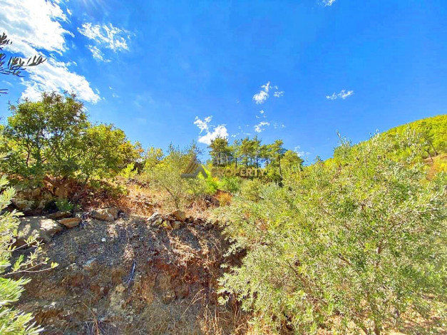 Участок земли для инвестиций в районе Чамлыджа города Аланья, 5293 м2 - Ракурс 11