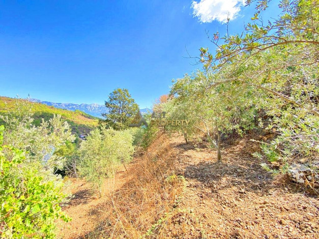 Участок земли для инвестиций в районе Чамлыджа города Аланья, 5293 м2 - Ракурс 12