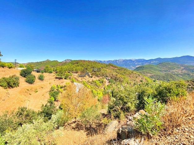 Участок земли для инвестиций в районе Чамлыджа города Аланья, 5293 м2 - Ракурс 13