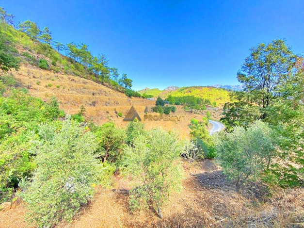 Участок земли для инвестиций в районе Чамлыджа города Аланья, 5293 м2 - Ракурс 14