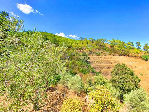 Участок земли для инвестиций в районе Чамлыджа города Аланья, 5293 м2 - Ракурс 15