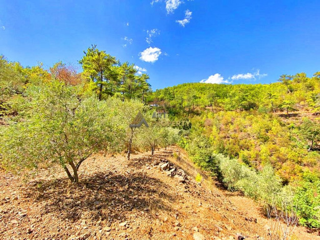 Участок земли для инвестиций в районе Чамлыджа города Аланья, 5293 м2 - Ракурс 16