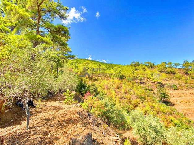 Участок земли для инвестиций в районе Чамлыджа города Аланья, 5293 м2 - Ракурс 17