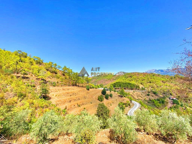 Участок земли для инвестиций в районе Чамлыджа города Аланья, 5293 м2 - Ракурс 18