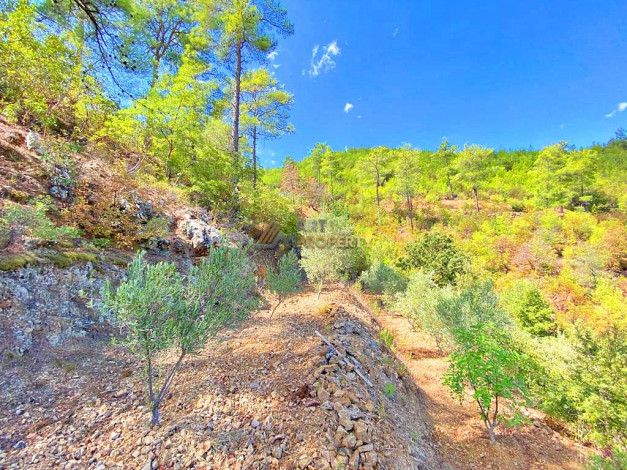 Участок земли для инвестиций в районе Чамлыджа города Аланья, 5293 м2 - Ракурс 20