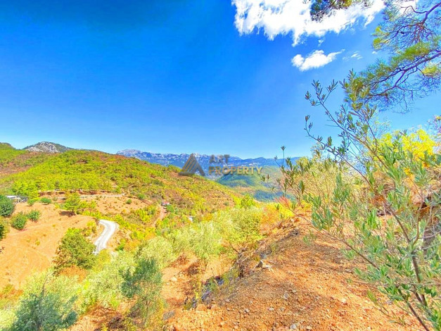 Участок земли для инвестиций в районе Чамлыджа города Аланья, 5293 м2 - Ракурс 21