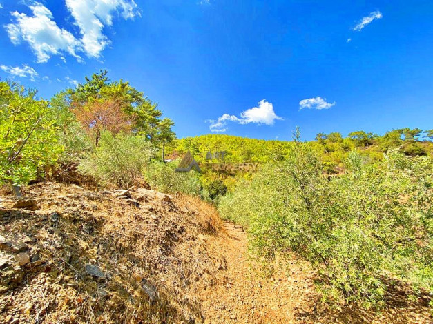 Участок земли для инвестиций в районе Чамлыджа города Аланья, 5293 м2 - Ракурс 23