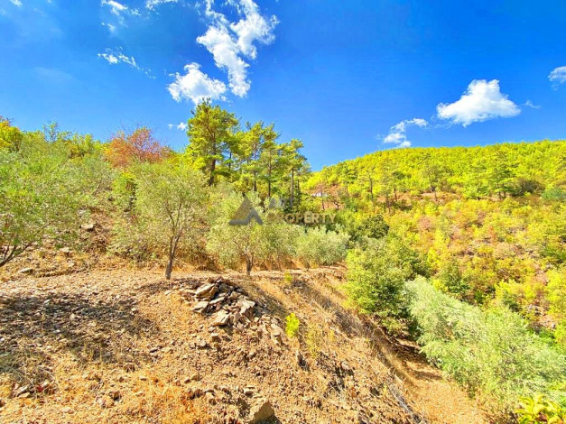 Участок земли для инвестиций в районе Чамлыджа города Аланья, 5293 м2 - Ракурс 24