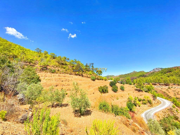 Участок земли для инвестиций в районе Чамлыджа города Аланья, 5293 м2 - Ракурс 25