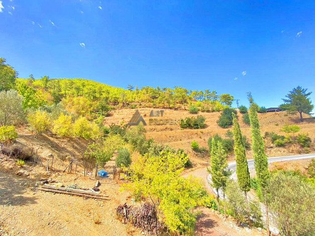 Участок земли для инвестиций в районе Чамлыджа города Аланья, 5293 м2 - Ракурс 27