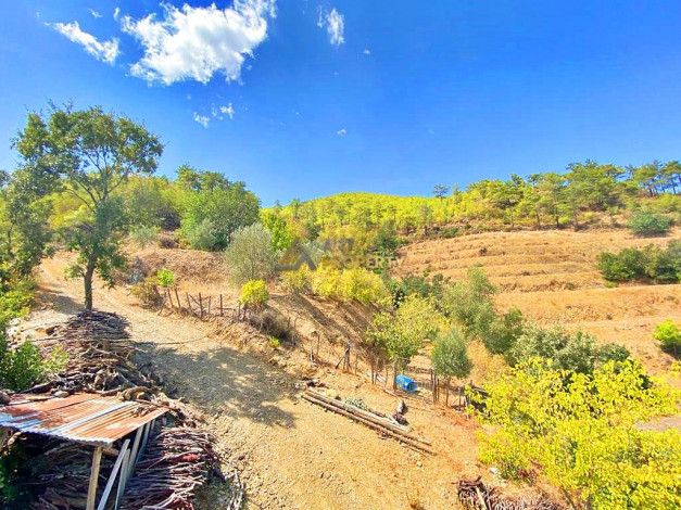 Участок земли для инвестиций в районе Чамлыджа города Аланья, 5293 м2 - Ракурс 28