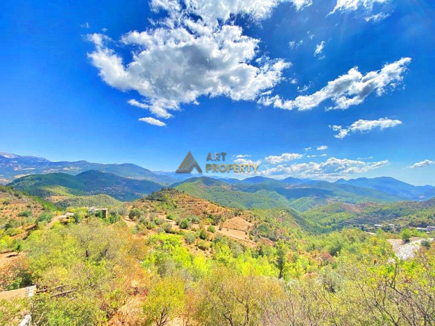 Участок земли для инвестиций в районе Чамлыджа города Аланья, 5293 м2 - Ракурс 29