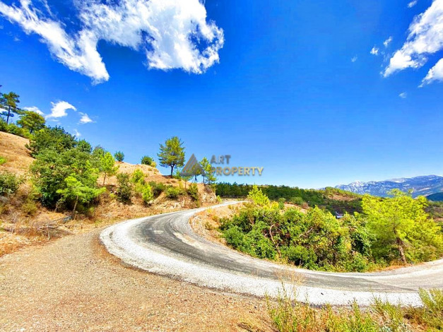 Участок земли для инвестиций в районе Чамлыджа города Аланья, 5293 м2 - Ракурс 31