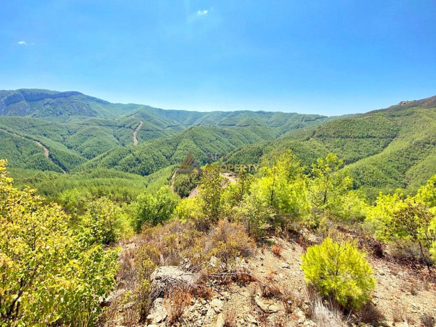 Инвестиционное предложение - участок земли в пригороде города Аланья, 2660 м2 - Ракурс 2