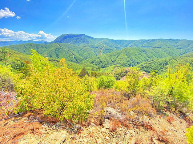 Инвестиционное предложение - участок земли в пригороде города Аланья, 2660 м2 - Ракурс 3