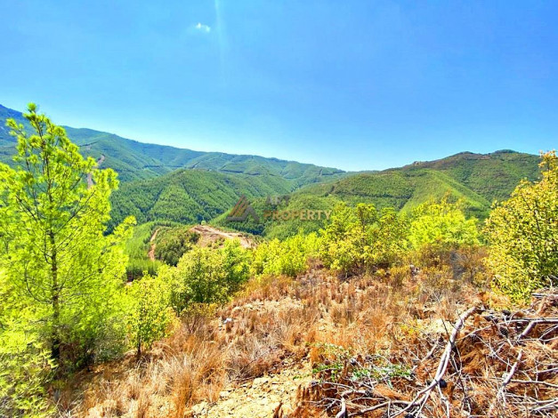 Инвестиционное предложение - участок земли в пригороде города Аланья, 2660 м2 - Ракурс 4