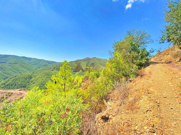 Инвестиционное предложение - участок земли в пригороде города Аланья, 2660 м2 - Ракурс 5
