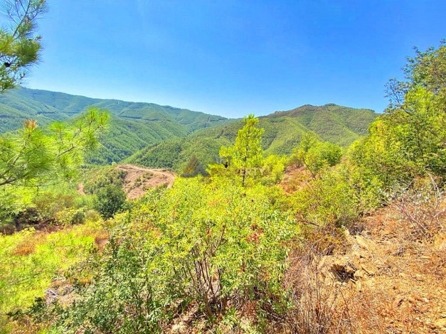 Инвестиционное предложение - участок земли в пригороде города Аланья, 2660 м2 - Ракурс 6