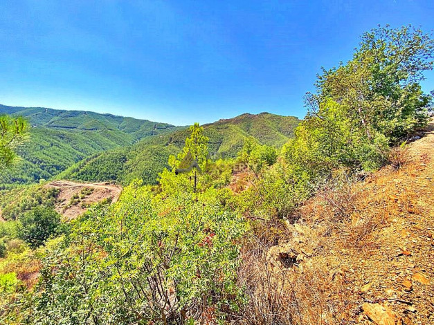 Инвестиционное предложение - участок земли в пригороде города Аланья, 2660 м2 - Ракурс 7