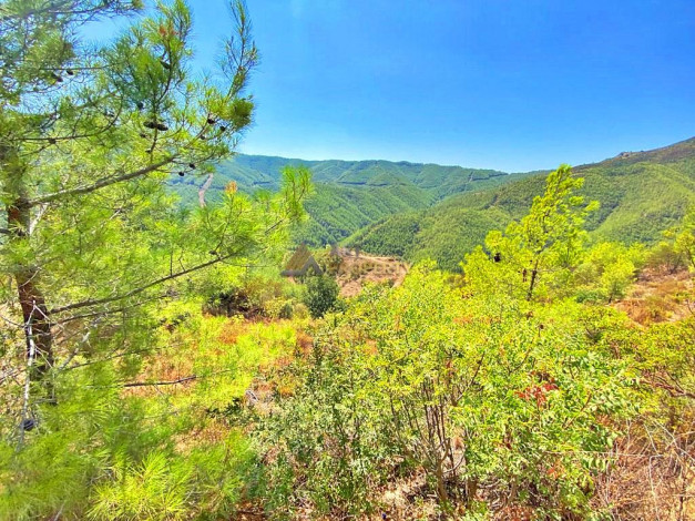 Инвестиционное предложение - участок земли в пригороде города Аланья, 2660 м2 - Ракурс 8